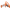 ส้ม